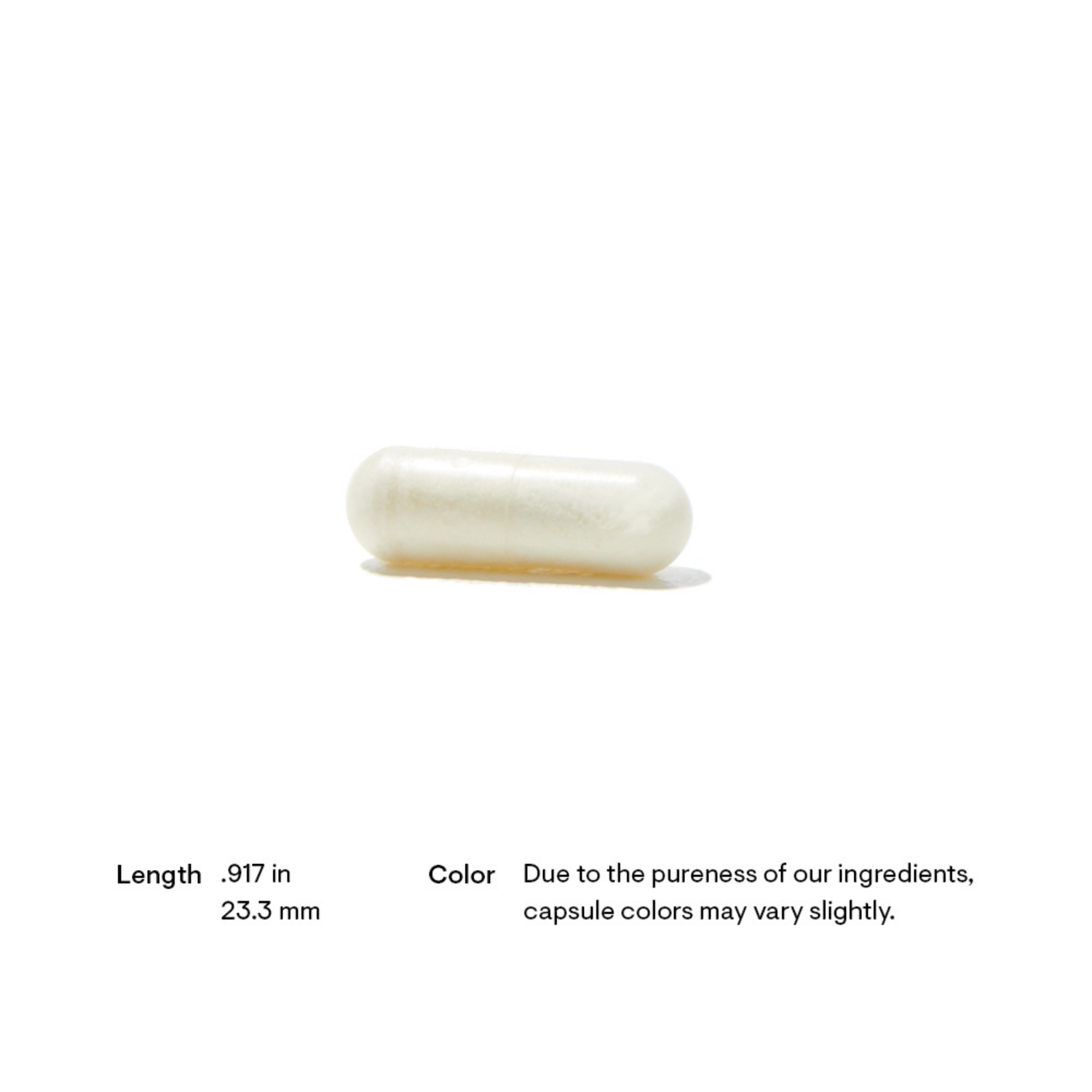 Advanced Digestive Enzymes (formerly Bio-Gest)