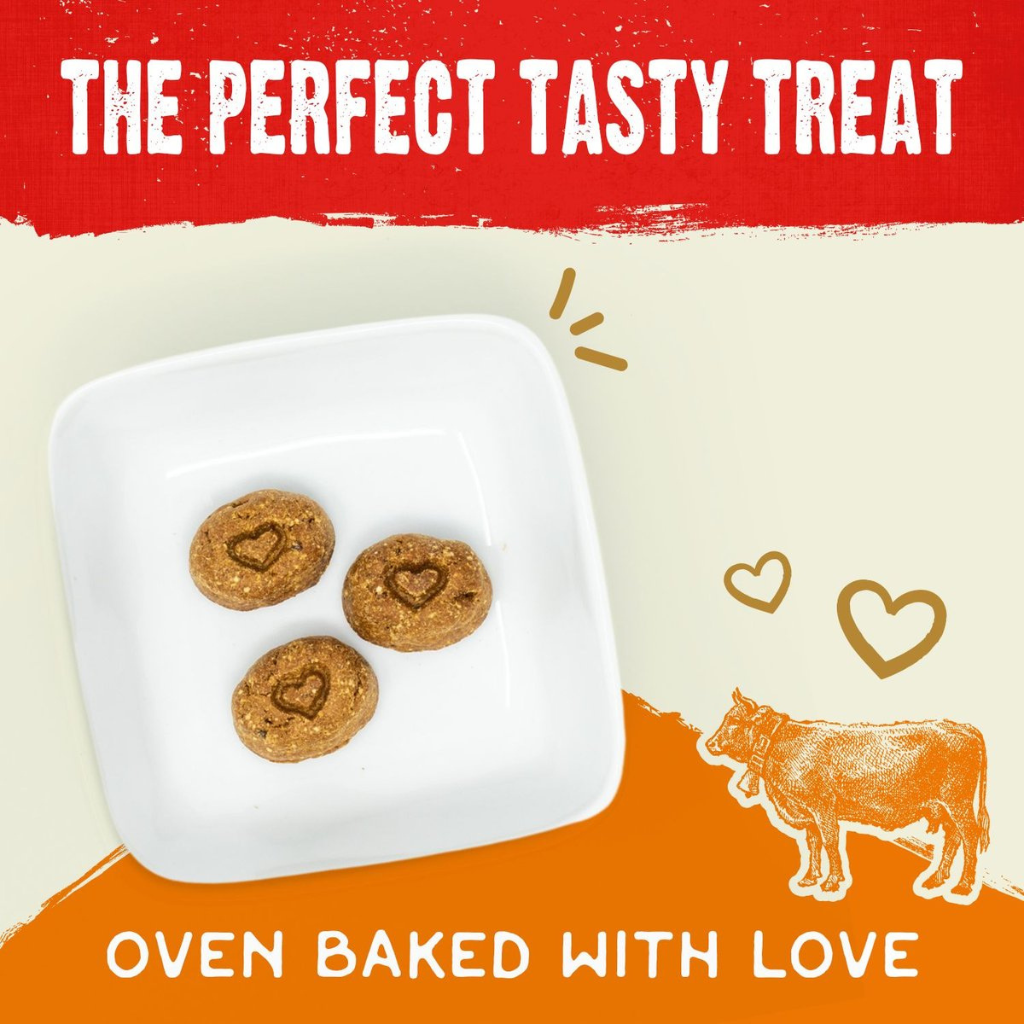 Raw Coated Biscuits