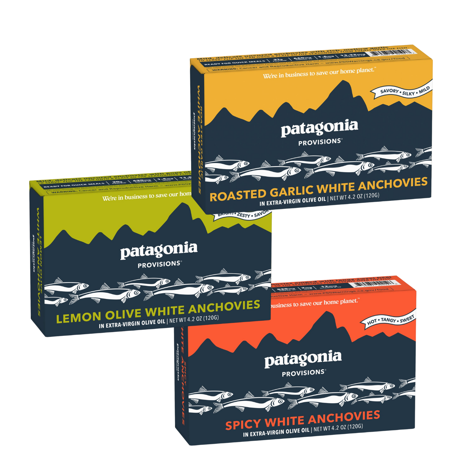 Spanish White Anchovies