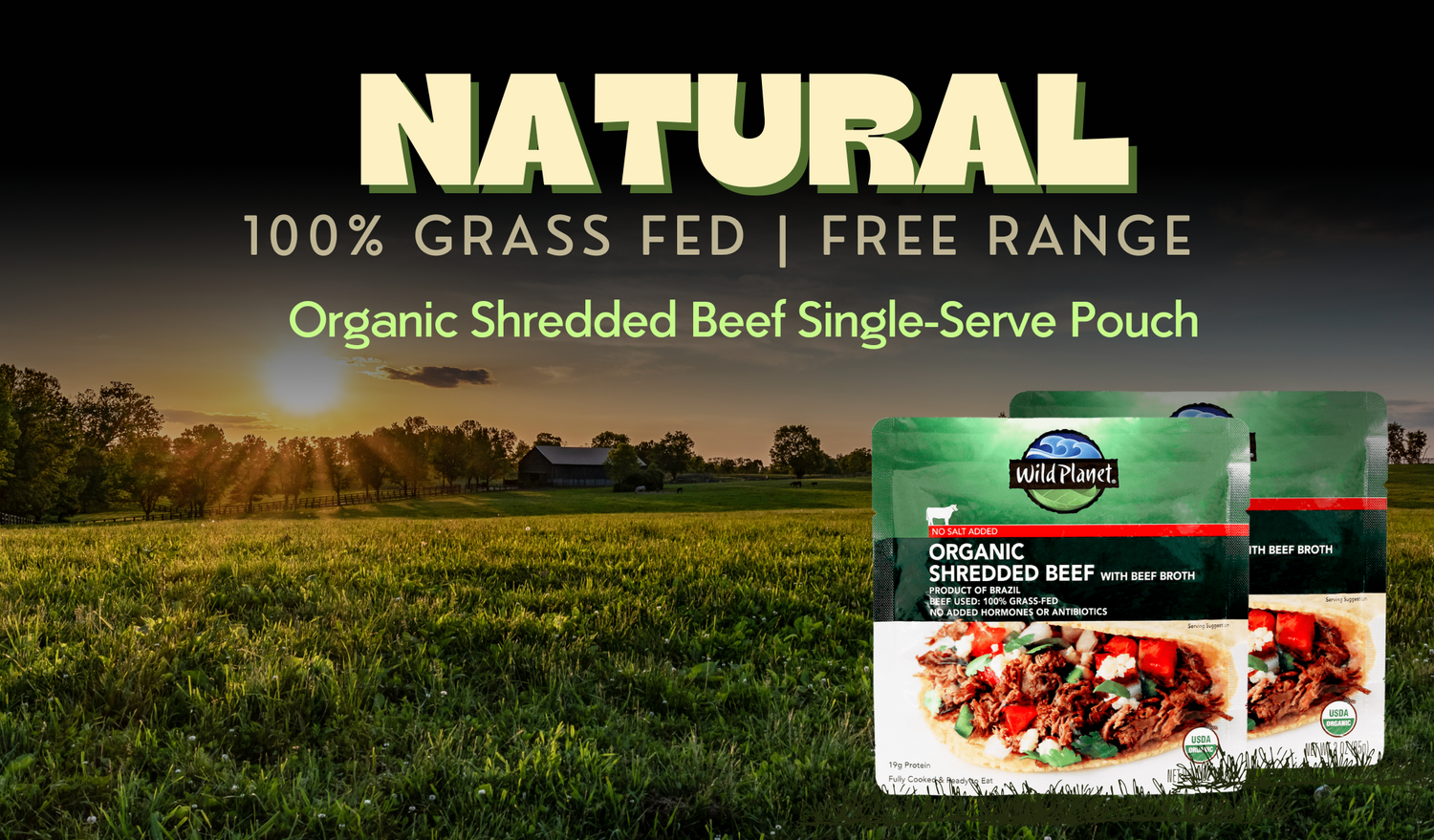 Fuel for the Road: 10 Shredded Beef Meals