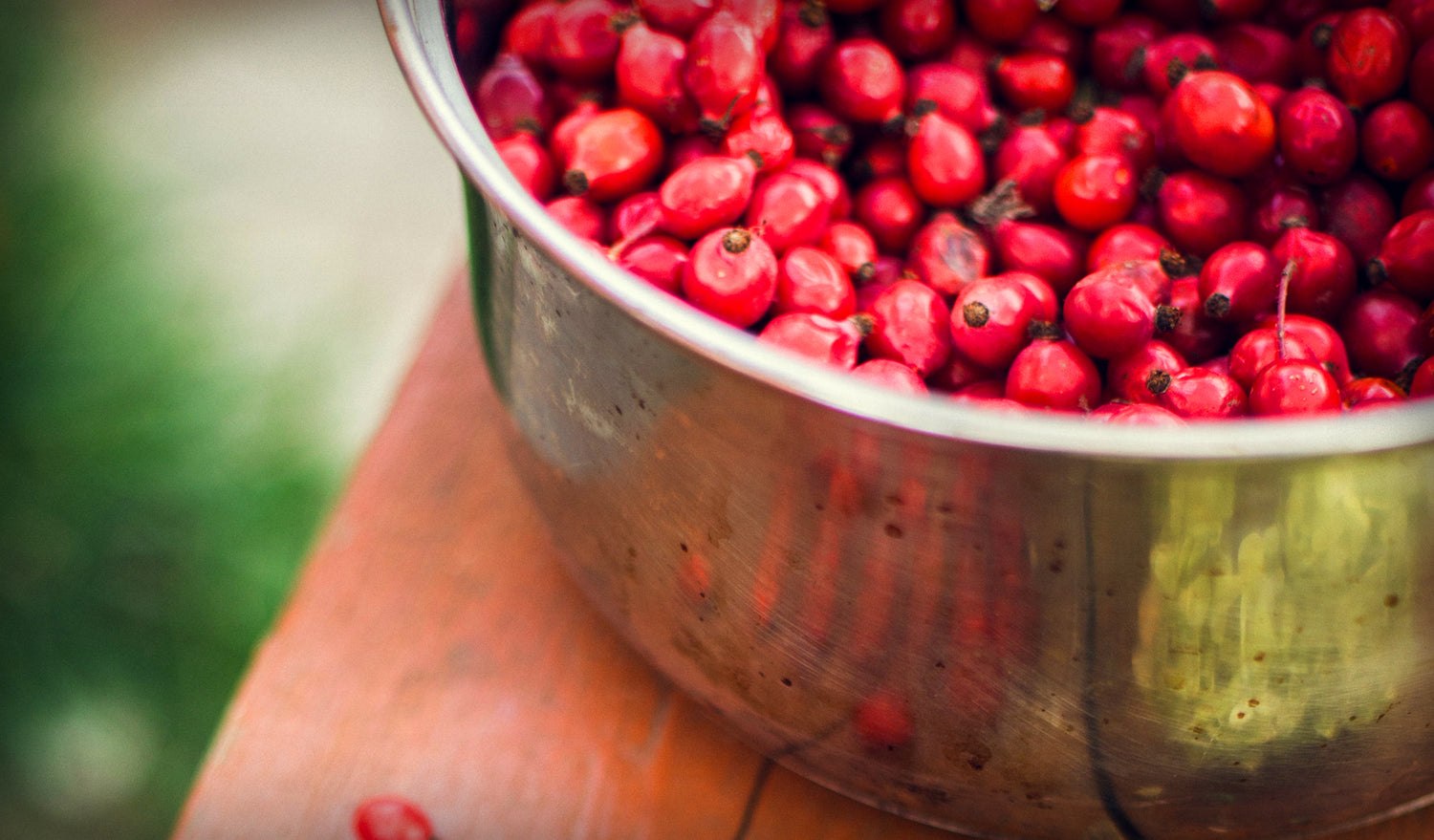 CRANBERRIES