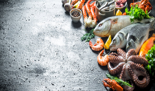 Discovering the Many Benefits of Seafood