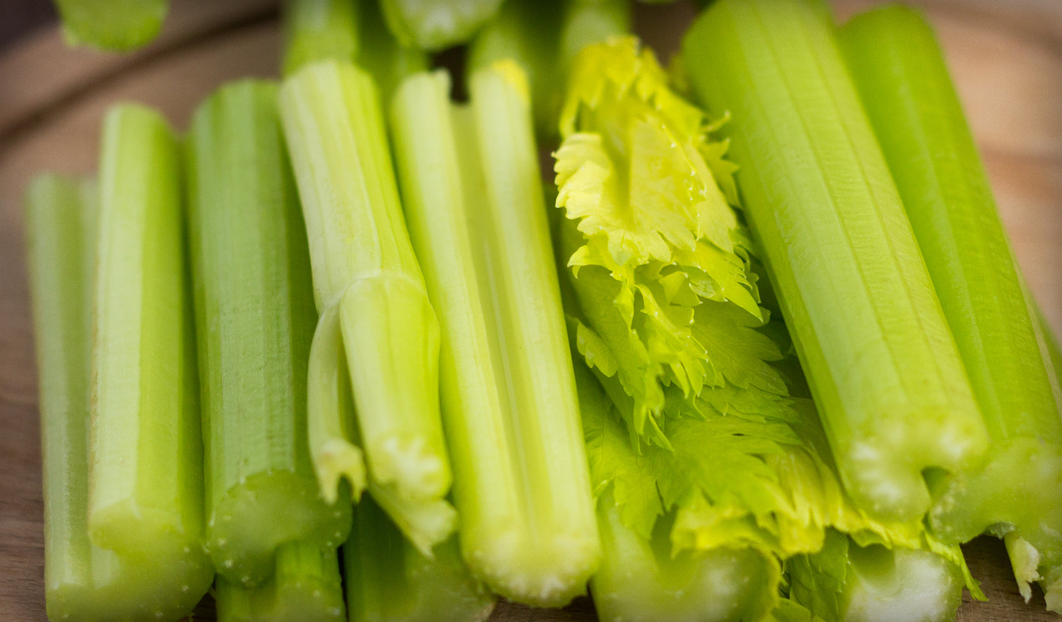 CELERY