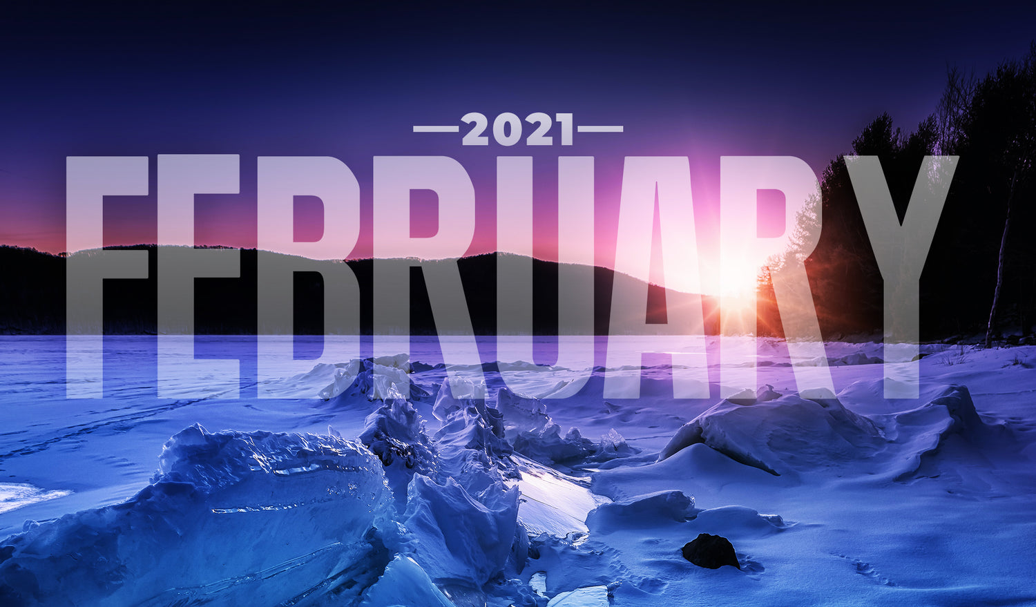 FEBRUARY 2021