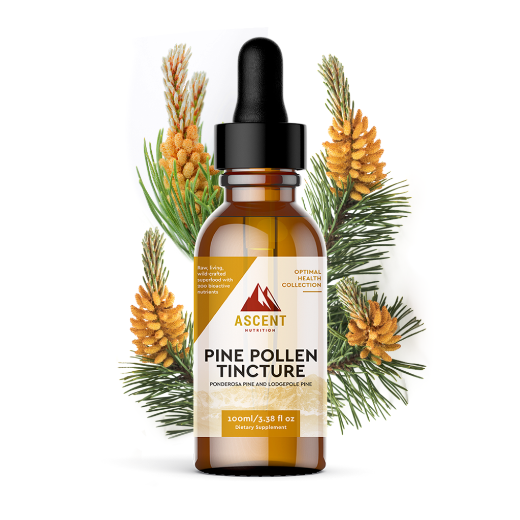 Wild-Harvested Pine Pollen Tincture