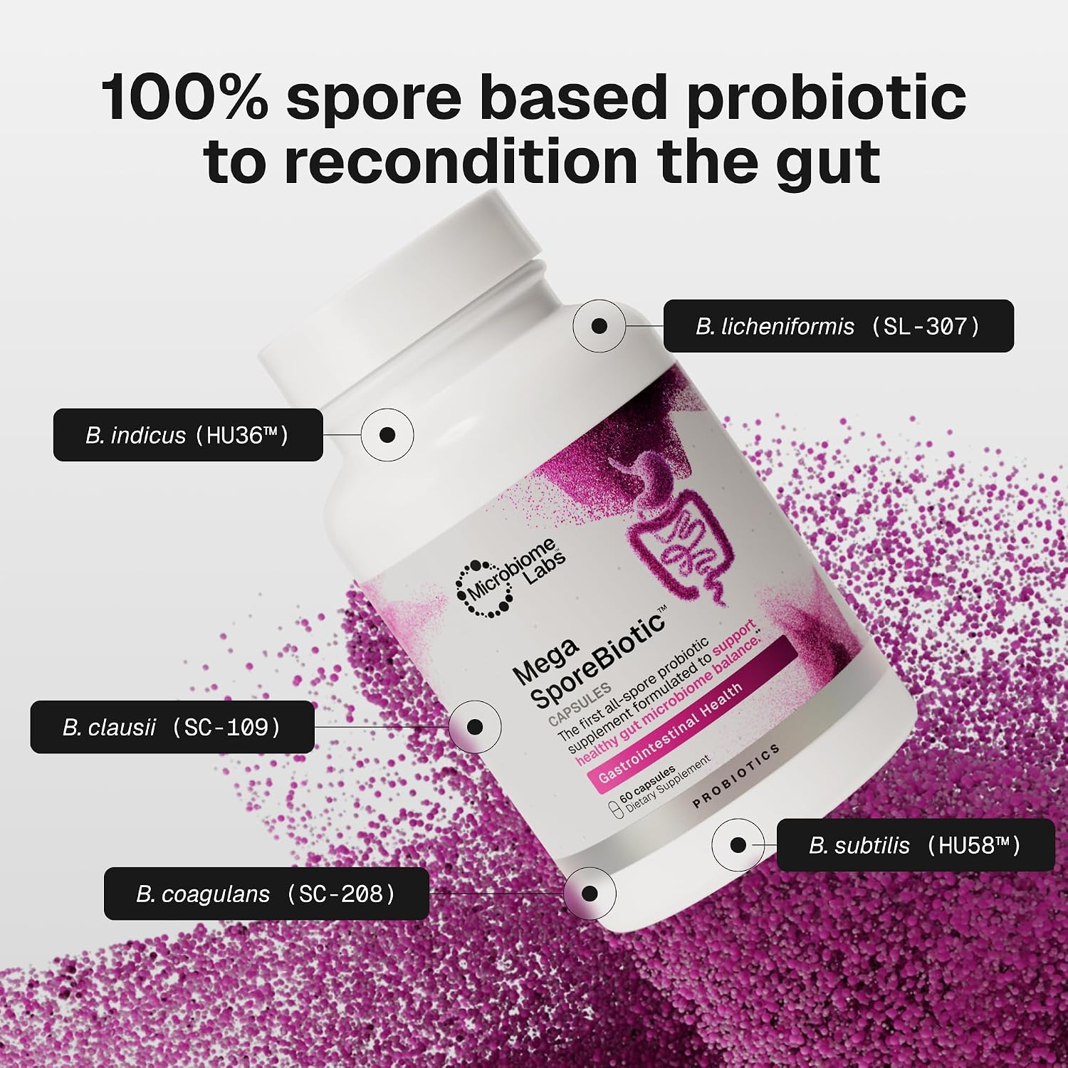 MegaSporeBiotic
