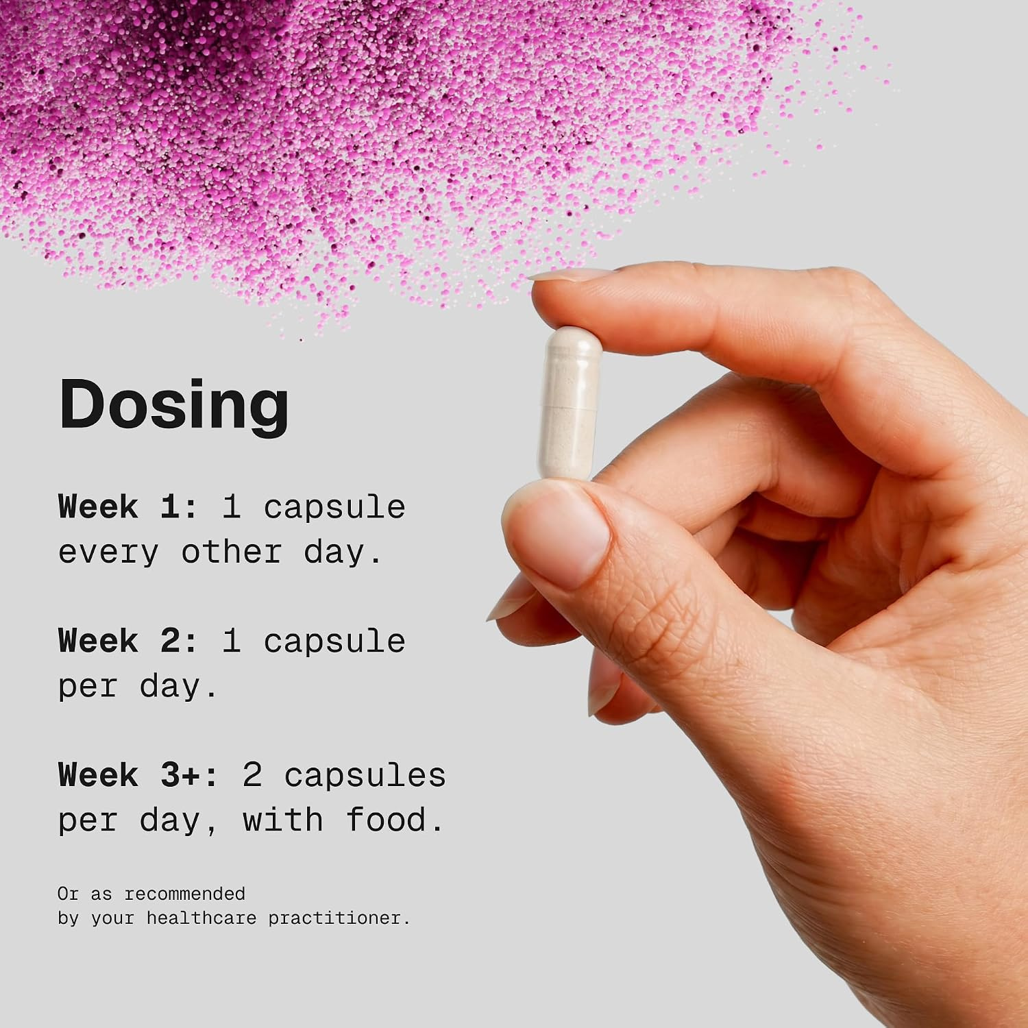 MegaSporeBiotic