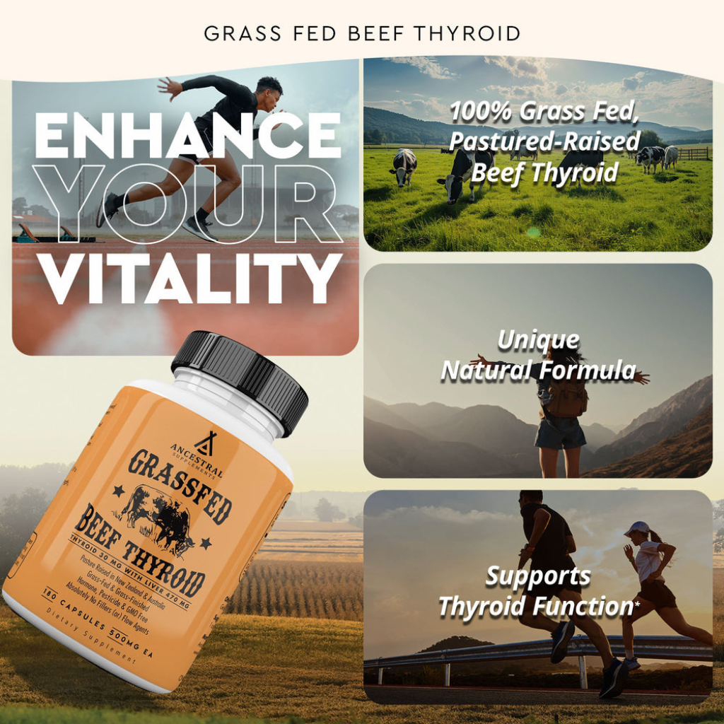 Grass Fed Beef Thyroid